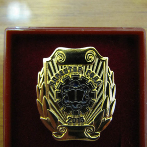 медаль Директор года 2015